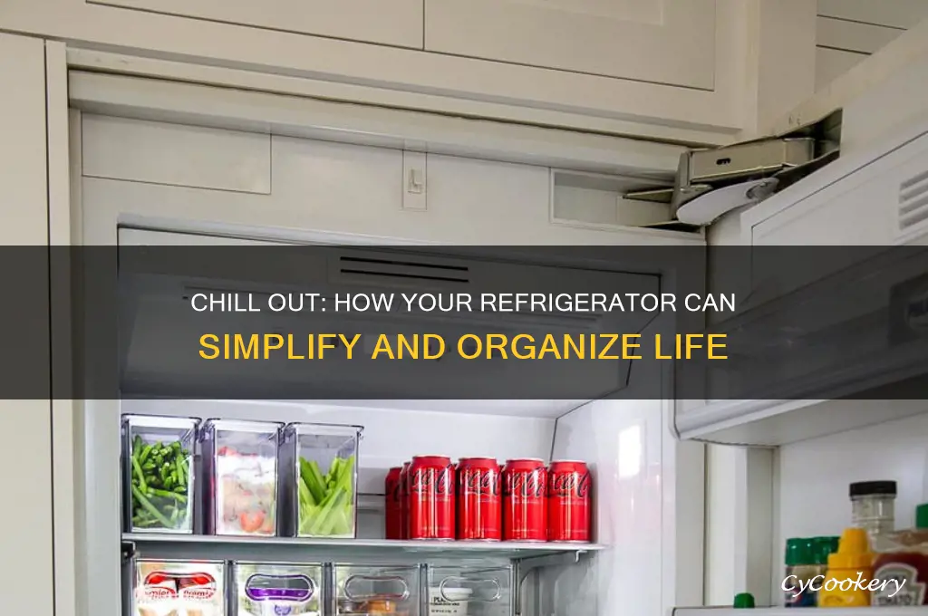 can refrigerator your life