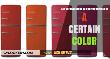 Custom-Colored Refrigerators: Personalizing Your Kitchen with Unique Appliance Options