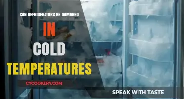 Cold Weather Impact: Can Refrigerators Be Damaged in Low Temperatures?