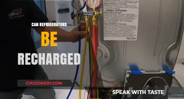 Can Refrigerators Be Recharged? Understanding the Process and Possibilities