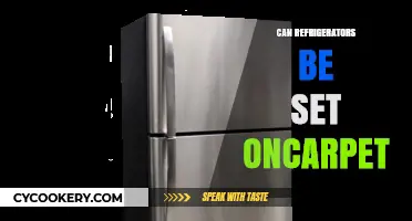 Can Refrigerators Safely Be Placed on Carpet? Expert Tips and Advice