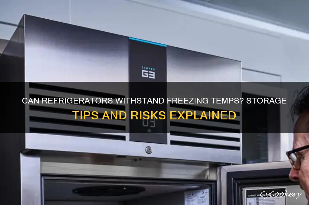 can refrigerators be stored in freezing temperatures