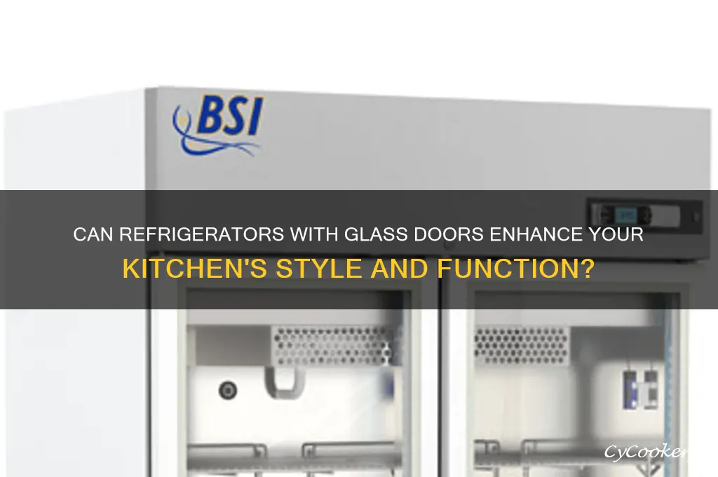 can refrigerators glass doors
