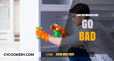 Do Refrigerators Expire? Understanding Lifespan and Maintenance Tips