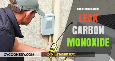 Can Refrigerators Leak Carbon Monoxide? Uncovering the Hidden Dangers