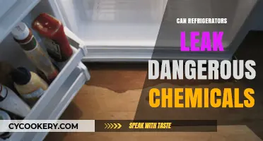Refrigerator Chemical Leaks: Are They Harmful to Your Health?
