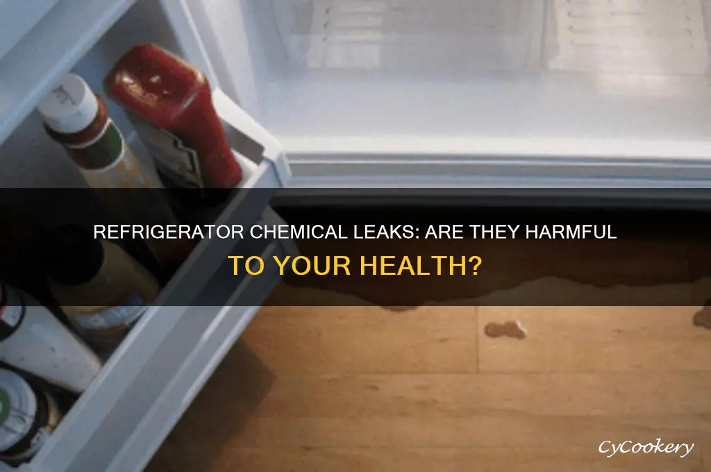 can refrigerators leak dangerous chemicals