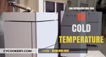 Can Refrigerators Operate Efficiently in Cold Climates? Expert Insights