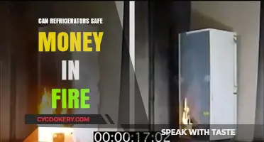 Can Refrigerators Save Money During a Fire? Unveiling the Truth