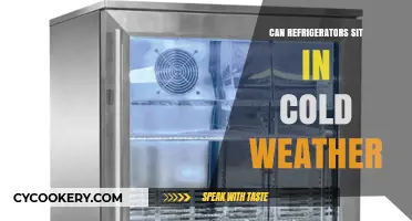 Can Refrigerators Withstand Cold Weather? Essential Tips for Outdoor Placement