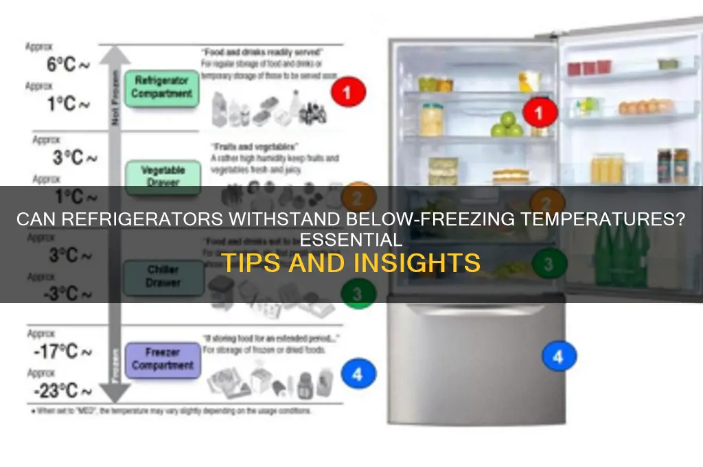 can refrigerators stay in below-freezing temperatures