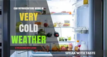 Refrigerators in Cold Climates: Functionality and Efficiency Explained