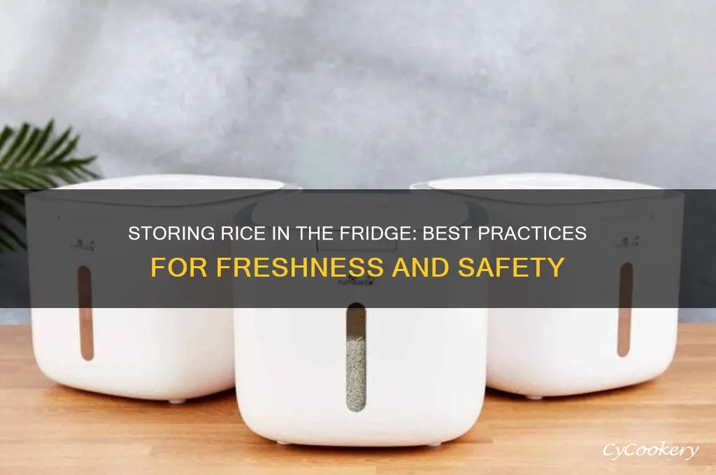can rice be stored in refrigerator