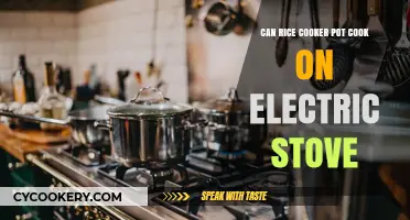 Rice Cooker Pot: Electric Stove Compatible?