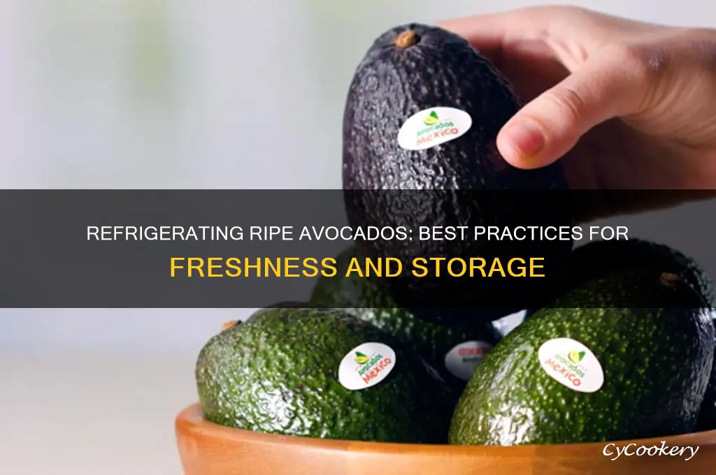 can ripe avocado be refrigerated