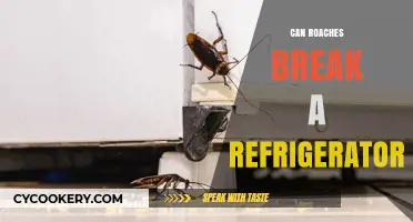 Can Roaches Damage Your Fridge? Surprising Truth Revealed