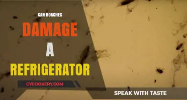 Can Roaches Harm Your Fridge? Understanding Potential Refrigerator Damage