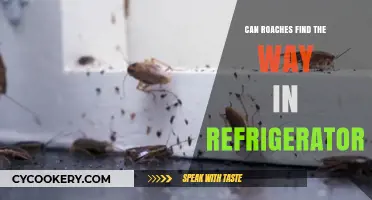 Can Roaches Invade Your Fridge? Surprising Ways They Find Entry