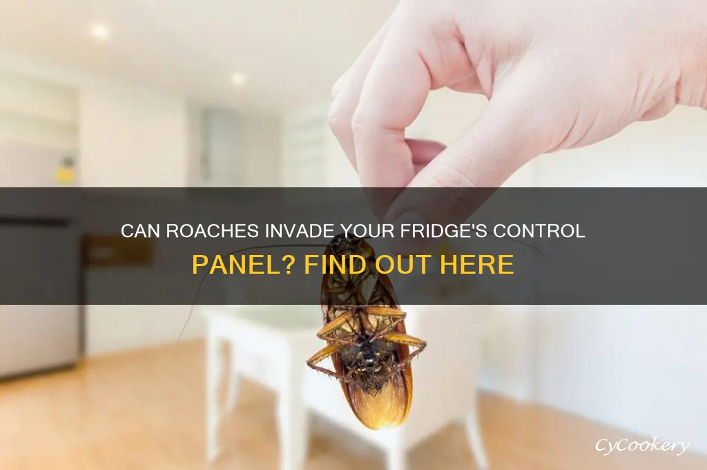 can roaches get into refrigerator control panels