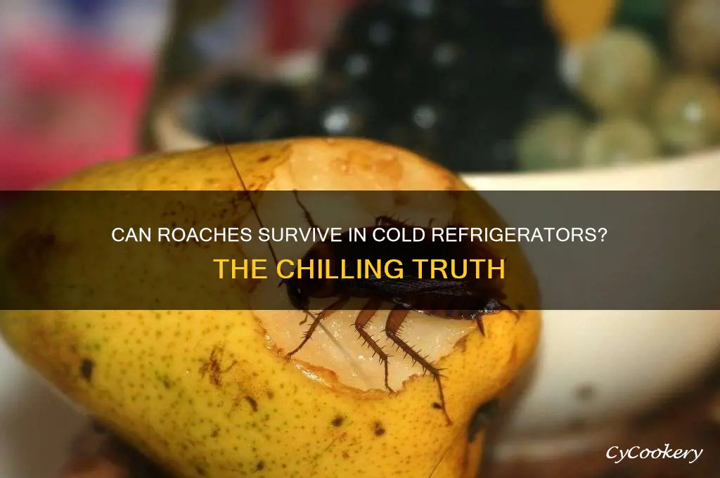 can roaches live in a cold refrigerator