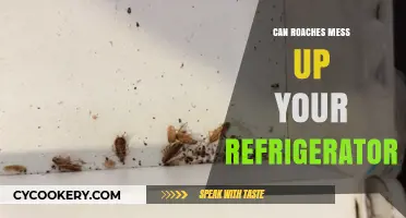 Can Roaches Damage Your Fridge? Prevention Tips and Solutions