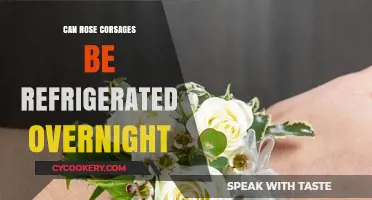 Refrigerating Rose Corsages Overnight: Tips for Freshness and Longevity