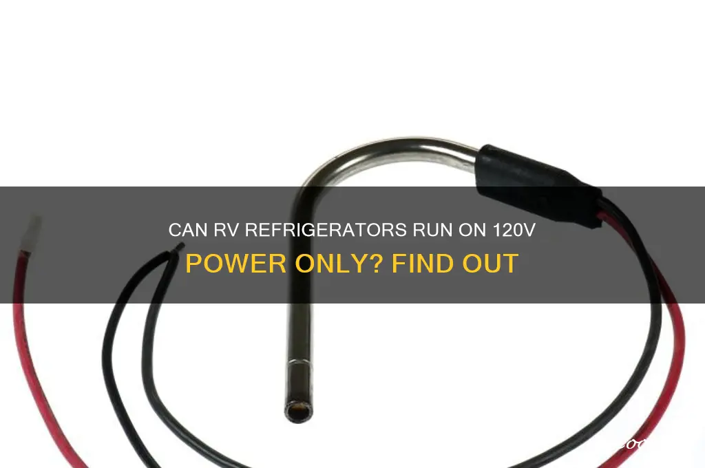 can rv refrigerators be wired to 120 only