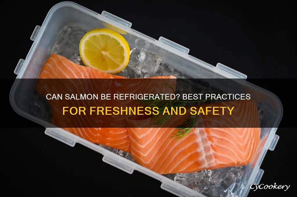 can salmon be refrigerated