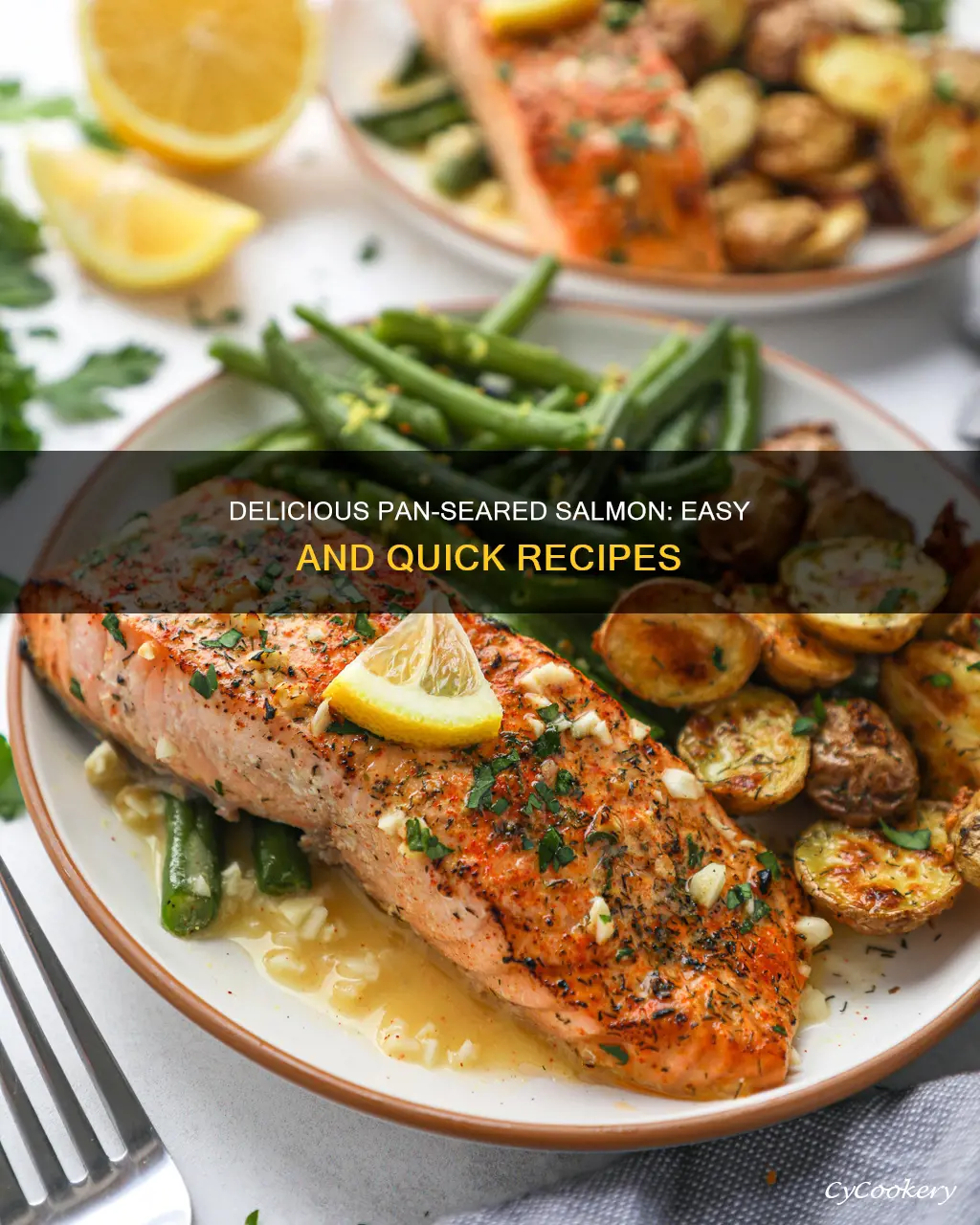 can salmon recipes pan