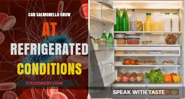 Can Salmonella Survive and Grow in Your Refrigerator? Facts Revealed