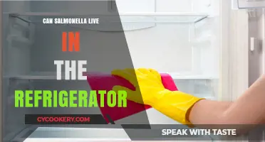 Can Salmonella Survive in Your Refrigerator? Facts and Prevention Tips