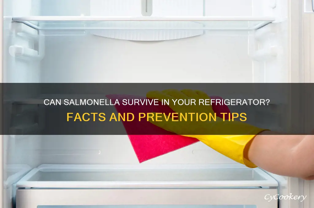can salmonella live in the refrigerator