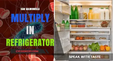 Can Salmonella Multiply in Your Refrigerator? Facts and Prevention Tips