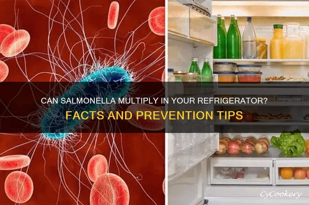 can salmonella multiply in refrigerator