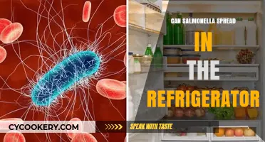 Can Salmonella Survive and Spread in Your Refrigerator?