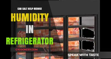 Salt's Surprising Role: Reducing Humidity in Your Refrigerator Naturally