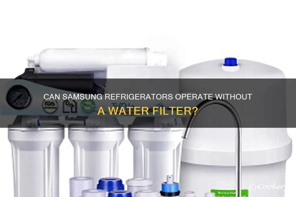 can samsung refrigerator run without filter