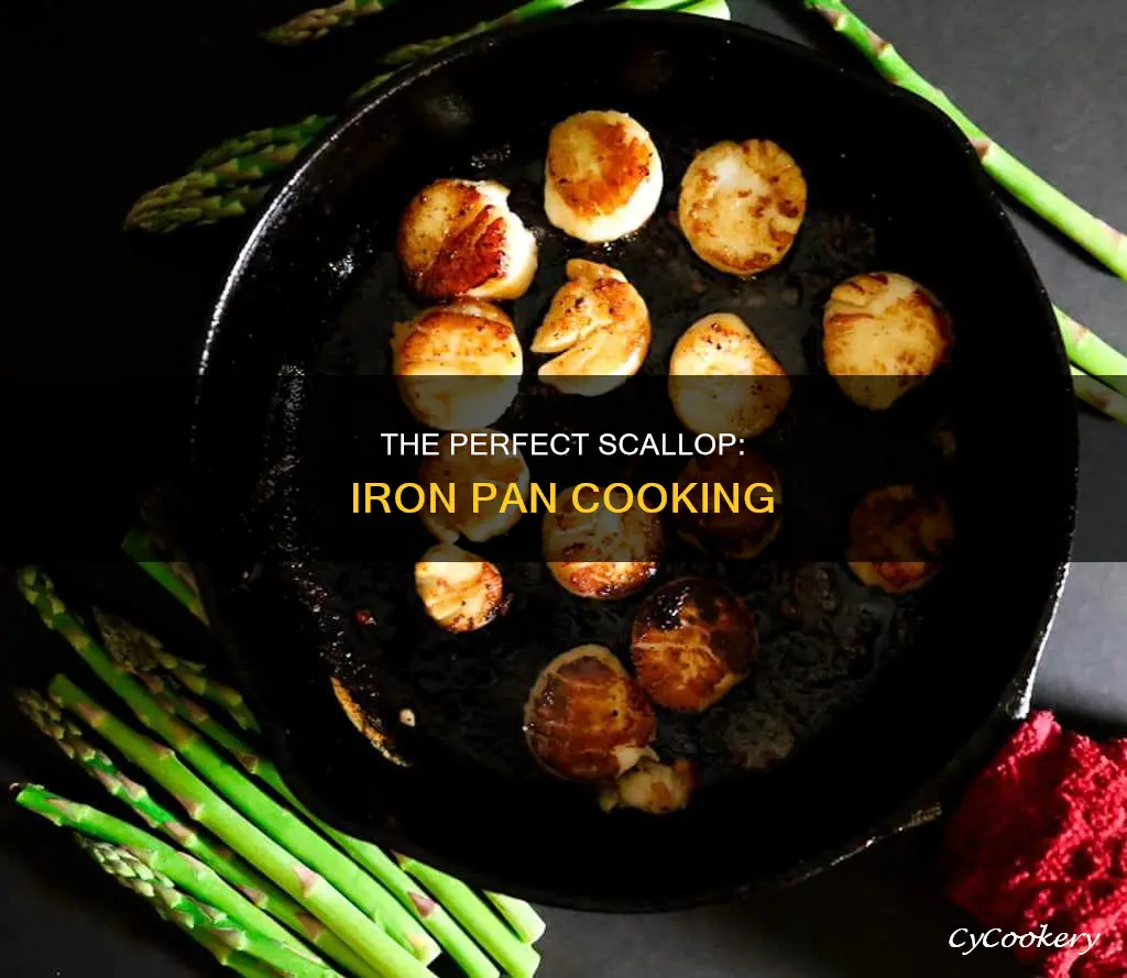 can scallops be cooked in an iron pan