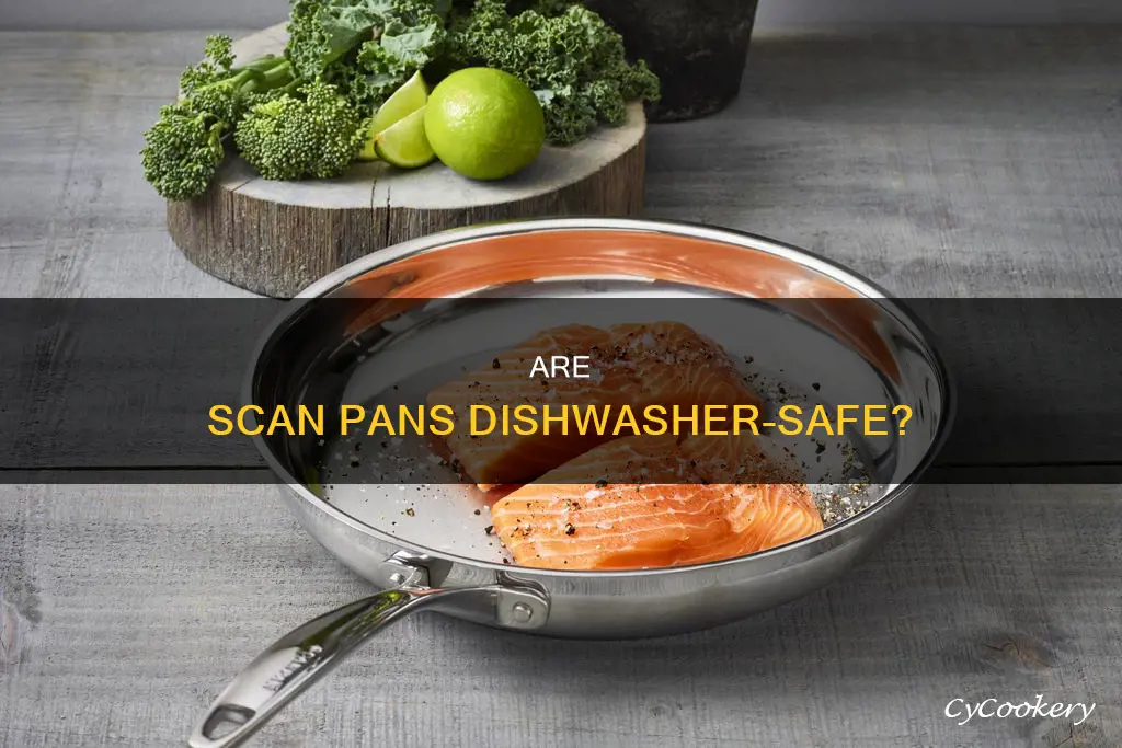can scan pans go in the dishwasher