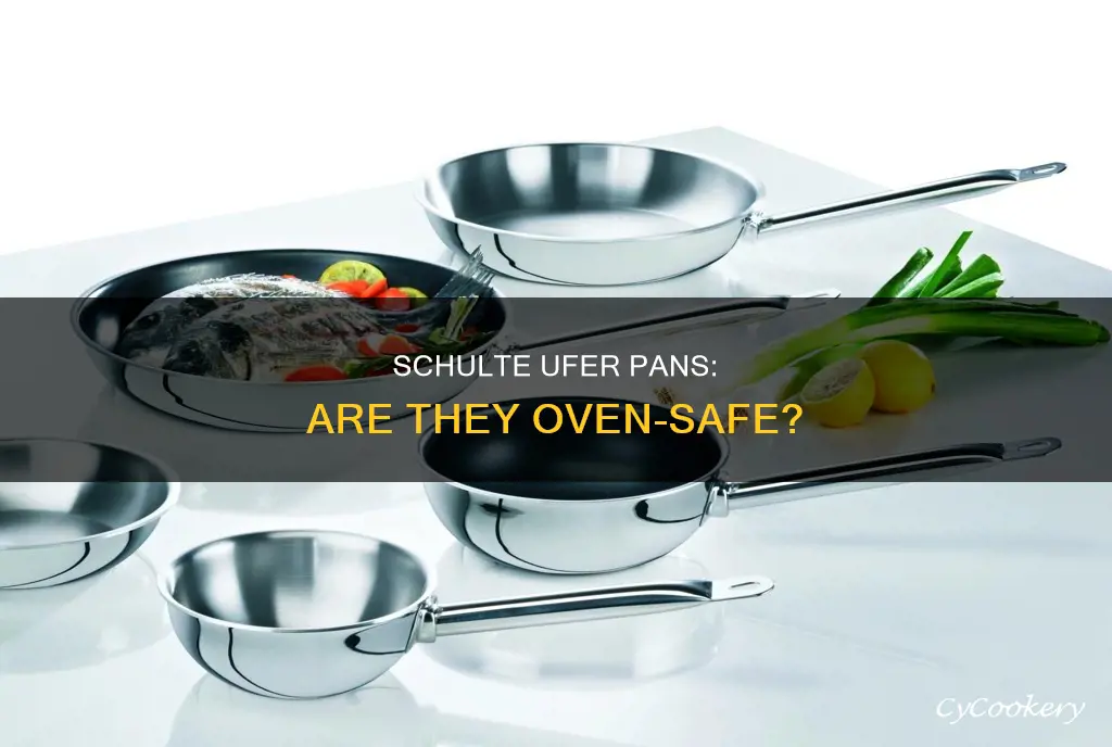 can schulte ufer pans go in the oven