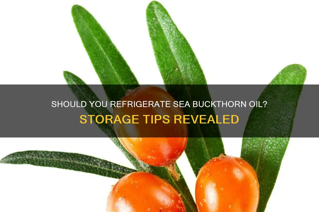 can sea buckthorn oil be refrigerated