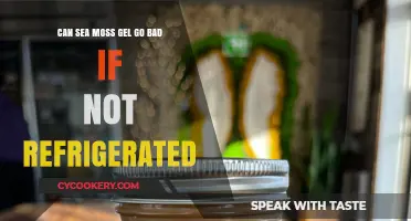 Does Sea Moss Gel Spoil Without Refrigeration? Storage Tips Revealed
