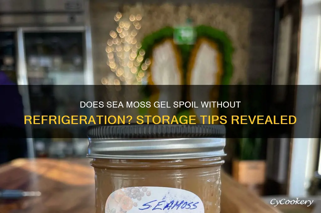 can sea moss gel go bad if not refrigerated