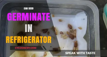Can Seeds Germinate in the Refrigerator? Exploring Cold Storage Benefits