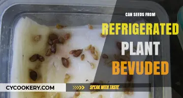 Can Refrigerated Plant Seeds Still Germinate? A Comprehensive Guide