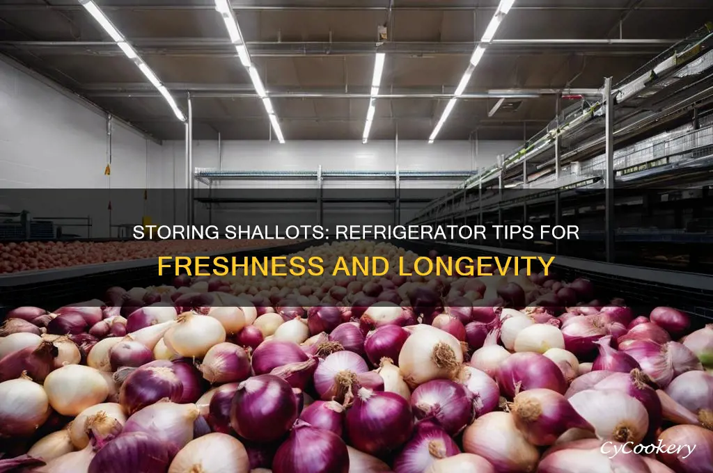 can shallot be stored in refrigerator