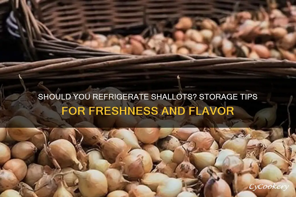 can shallots be refrigerated