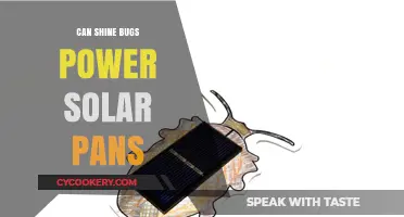 Shine Bugs: Solar Power's Secret Weapon?