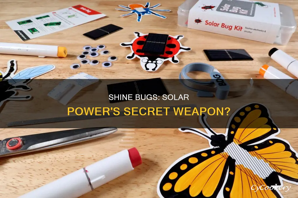 can shine bugs power solar pans