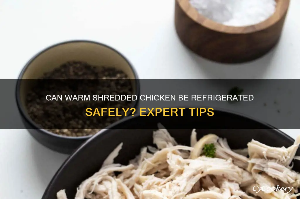 can shredded chicken go in the refrigerator warm